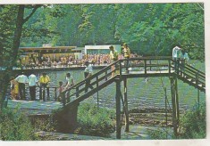 bnk cp Sovata - Lacul Alunis - circulata