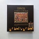 Copacul cu radacini de 1700 de ani: o istorie a evreilor in Germania si in Europa Centrala - Adrian Cioroianu, Bucuresti, 2022, Limba Romana , Nou