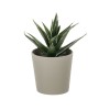 Ghiveci decorativ cu floare artificiala verde, 6x11 cm, ATU-082360, Oem