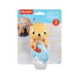 FISHER PRICE JUCARIE ZORNAITOARE VIDRA, FISHER PRICE - Infant