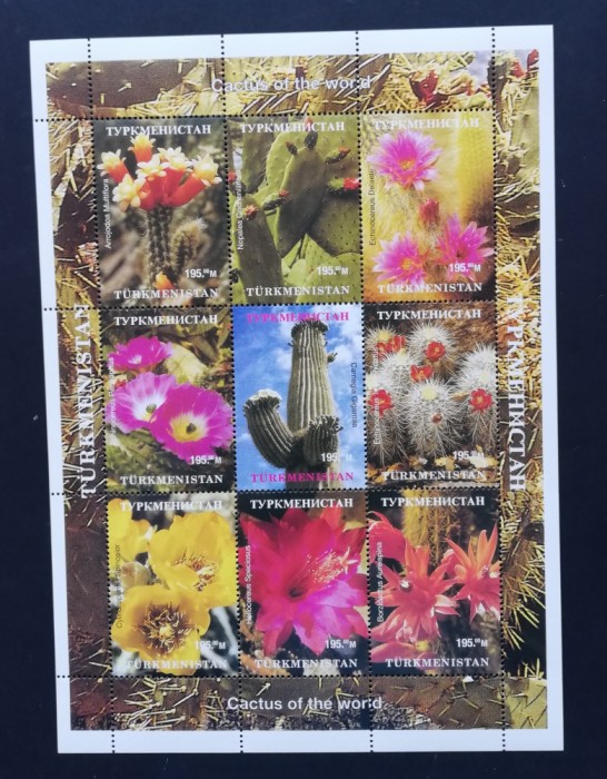 TURKMENISTAN- FLORA -CACTUSI-9 v.in 1 coala mica,-NEOBLITERATA - TU PLR 54