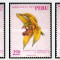 Peru 1971 - Orhidee, flori, serie neuzata