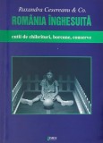 Romania inghesuita. Cutii de chibrituri, borcane, conserve - Ruxandra Cesereanu &amp; Co.