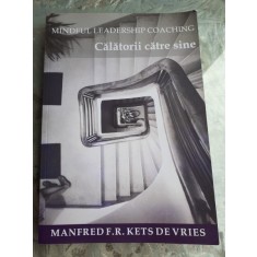 CALATORII CATRE SINE - MANFRED F.R. KETS DE VRIES