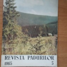 Revista pădurilor Nr 5 / 1965