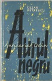Aurul Negru - Cezar Petrescu, Editura Pentru Literatura 1961, Roman, 546 pagini