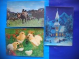 HOPCT LOT NR 975 FAUNA.-STEREO 3 D -3 CARTI POSTALE-CIRCULATE, Circulata, Printata