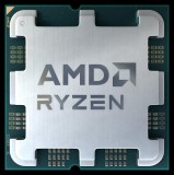 AMD Ryzen 7 7800X3D processor