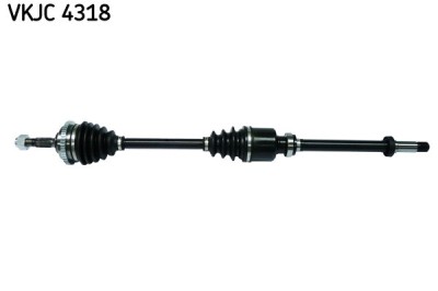 SKF VKJC 4318 Planetara foto