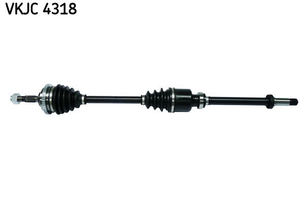 SKF VKJC 4318 Planetara