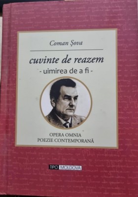 Cuvinte de reazem - Coman Sova foto