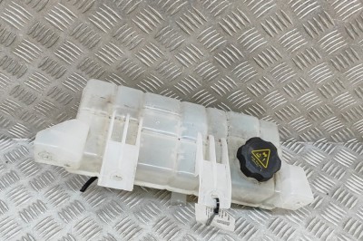 Vas de expansiune TESLA MODEL X 2020 OEM: 1036124-00-O 29796003 foto