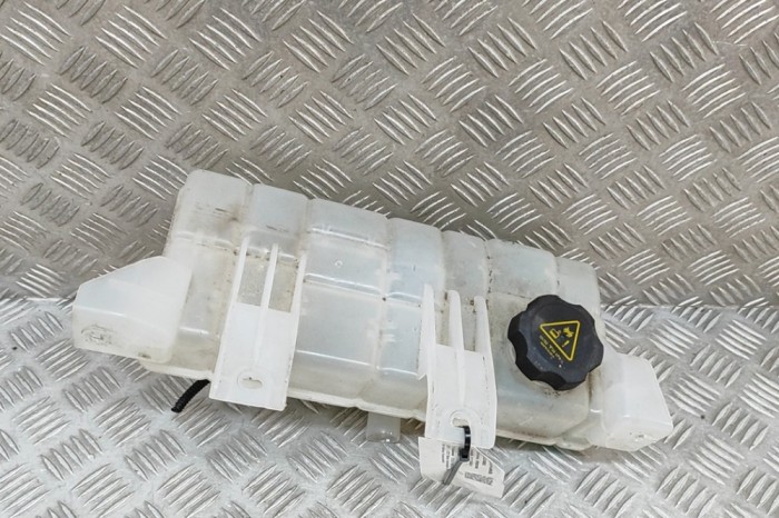 Vas de expansiune TESLA MODEL X 2020 OEM: 1036124-00-O 29796003