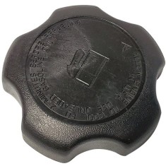 Buson Briggs &amp; Stratton (795027)