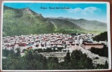 Carte postala, Brasov, Parcul si Bd. Ferdinand, perioada interbelica