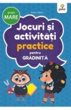 Jocuri si activitati practice pentru grupa mare - Rodica Cislariu