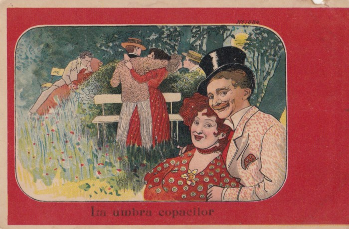 CARTE POSTALA IN UMBRA COPACILOR ~ caricatura ~