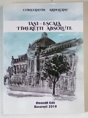 IASI , ESCALA TINERETII PIERDUTE de CONSTANTIN ARDELEANU , 2019 foto