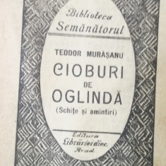 Cioburi de oglinda Schite si amintiri Teodor Murasanu 1925 Semanatorul Arad