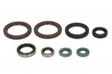 Set garnituri motor compatibil: KTM SX-F, XC-F 450/505 2007-2012