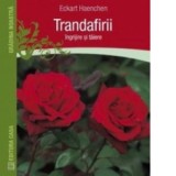 Trandafirii: ingrijire si taiere - Eckart Haechen