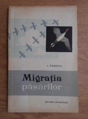 L. Rudescu - Migratia pasarilor foto