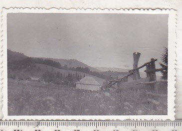 bnk foto Muntii Fagaras - Grajd de vite - 1957