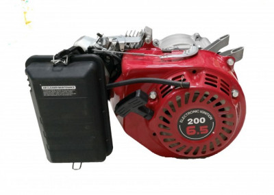 Motor generator (ax conic) 6.5CP (fara rezervor) foto