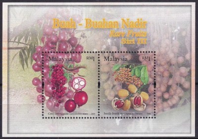 Malaysia 2006 - Fructe, flora, bloc neuzat foto