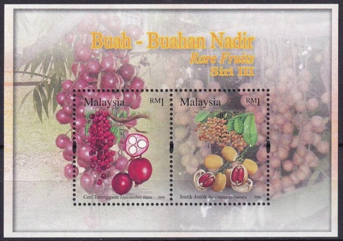 Malaysia 2006 - Fructe, flora, bloc neuzat