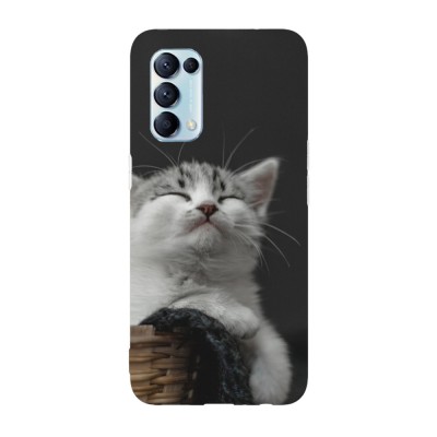 Husa compatibila cu Oppo Find X3 Lite model Smug cat, Silicon, TPU, Viceversa foto