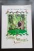Ursulețul Rotofeiul - Traian Gh. Cristea, Gina Nechifor