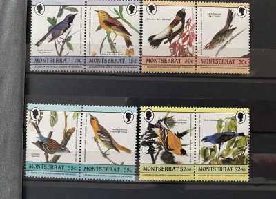 PC450 - Montserrat 1985 Fauna/ Pasari Audubon , serie MNH, 8v foto
