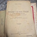 Pentru cei mai tineri. Ce am vazut in Romania Mica si ce vad in Romania Mare - Vintila I. Bratianu