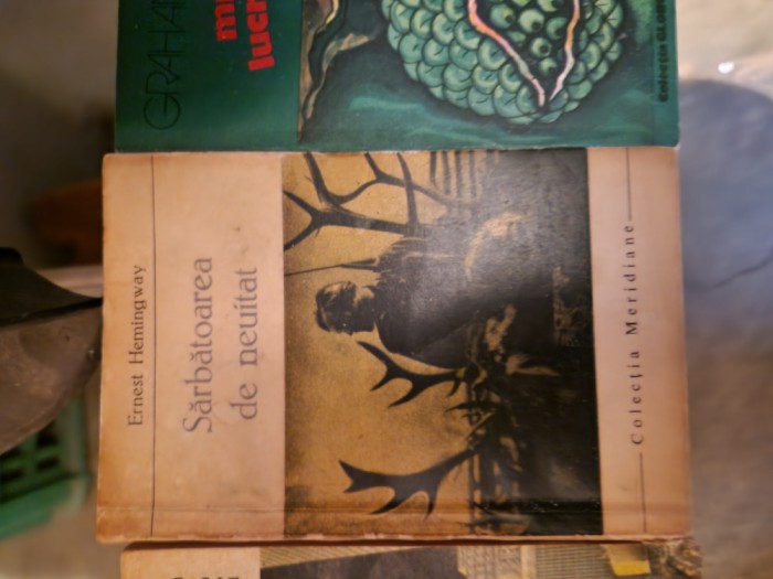 Sărbătoarea de neuitat vintage