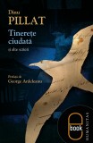 Tinereţe ciudată şi alte scrieri (pdf)