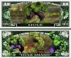 !!! SUA = FANTASY NOTE = THE INCREDIBLE HULK - 2012 - UNC / SERIA SUPEREROI