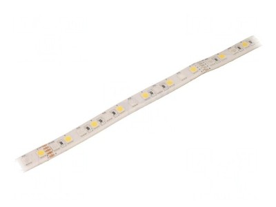 Banda LED RGBW 24V IP65 23W/m foto