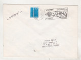 Bnk fil Plic stampila ocazionala Expozitia canina Targu Mures 1981, Romania de la 1950