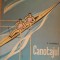 Canotajul - Corneliu Florescu