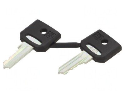 Cheie de 22mm Harmony XB4, set 2 buc. foto