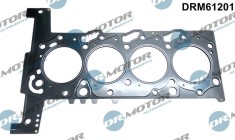 Garnitura, Chiulasa 289705 DRM61201