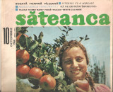 Revista Sateanca nr.10-1968
