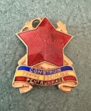 Insigna Construim pentru socialism pentru pace