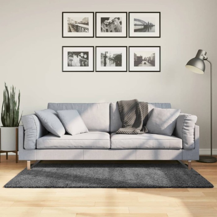 Covor &bdquo;OVIEDO&rdquo;, fire scurte, antracit, 80x150 cm