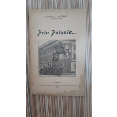 Prin Polonia - George Al. Lefteriu