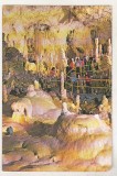 Bnk cp Chiscau - Pestera Ursilor - carte postala QSL circulata, Printata, Bihor