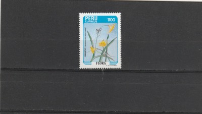 Floare specifica,Peru. foto