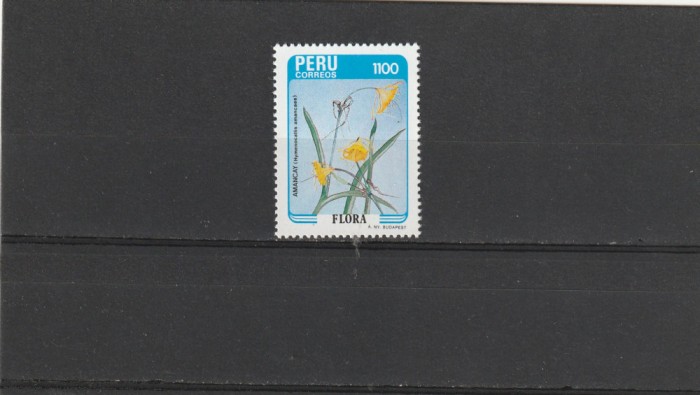 Floare specifica,Peru.