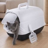 Litiere pentru pisici, tip inchis, cu usa batanta, 51x37x36cm, Alb, CMCLASS